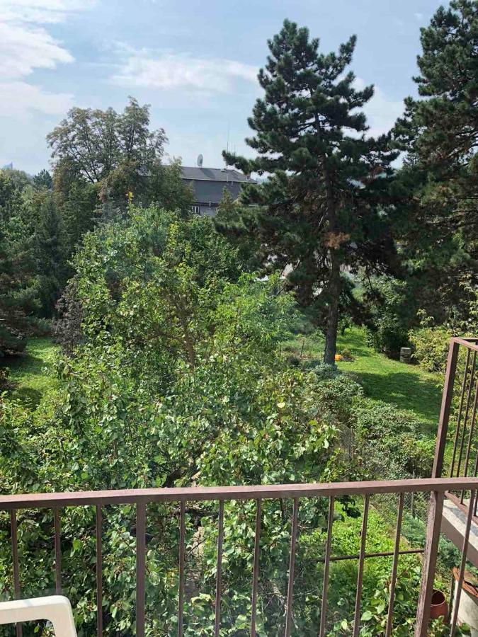 Hostel House Near Bvv-Vystaviste Brno Ngoại thất bức ảnh